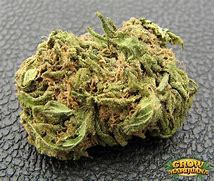 girl scout cookies strain